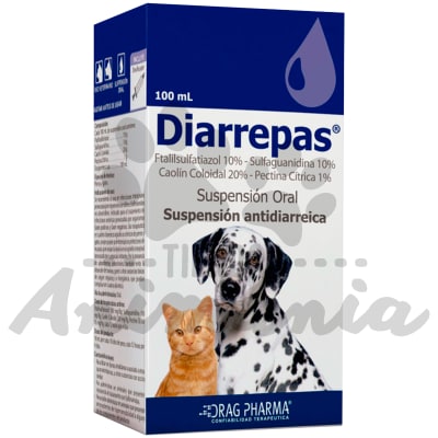 DIARREPAS SUSPENSION ORAL 100 ML