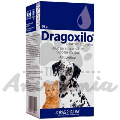 DRAGOXILO SUSPENSION ORAL 50 GR 100 ML1