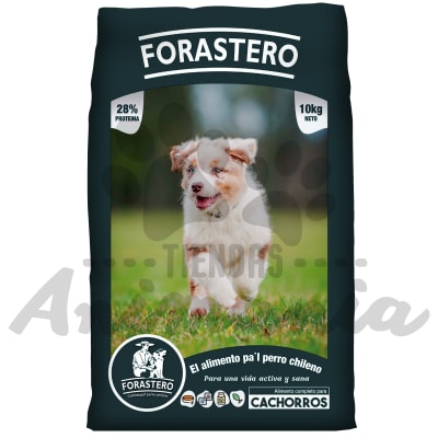 FORASTERO PERRO CACHORRO 10 KG1