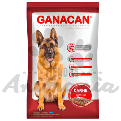 GANACAN ADULTO SABOR A CARNE 22 KG1