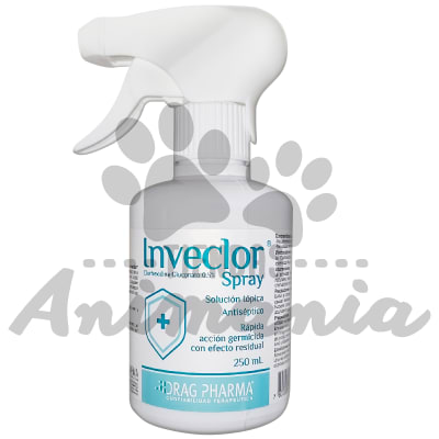 INVECLOR SPRAY SOLUCION TOPICA 250 ML