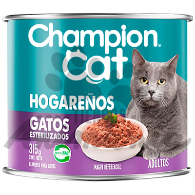 CHAMPION CAT LATA INDOOR SALMON 315 GR1