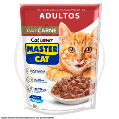 MASTER CAT POUCH CARNE 85 GR