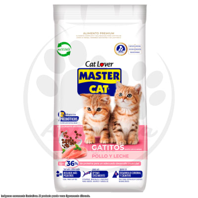 MASTER CAT GATITOS 20 KG