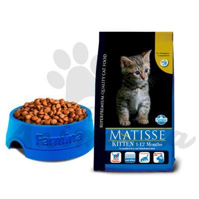 MATISSE FILHOTE KITTEN 2 KG1