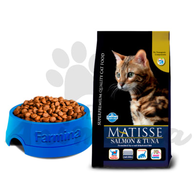 MATISSE GATOS ADULTOS SALMÓN & ARROZ 2 KG (PRODUCTO PRONTO A VENCER)1