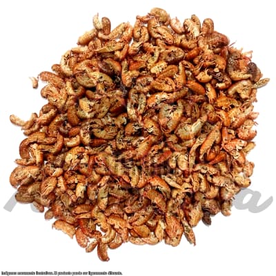 PULGAS DE MAR PARA TORTUGAS 1 KG