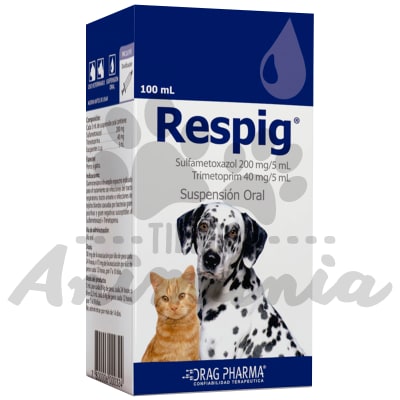RESPIG SUSPENSION ORAL 100 ML