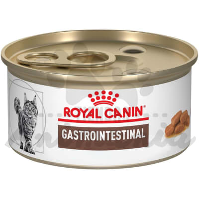 ROYAL CANIN GATO LATA GASTROINTESTINAL 145 GR1