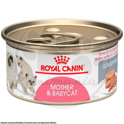 ROYAL CANIN GATO LATA MOTHER AND BABYCAT 145 GR1