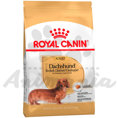 ROYAL CANIN PERRO DACHSHUND ADULTO 2.5 KG