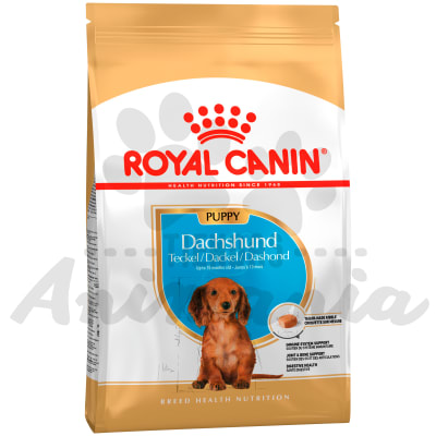 ROYAL CANIN PERRO DACHSHUND PUPPY 2.5 KG