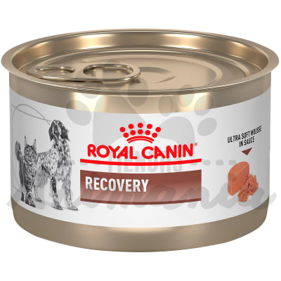 ROYAL CANIN PERROS Y GATOS LATA RECOVERY RS 145 GR