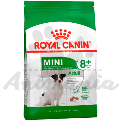 ROYAL CANIN PERRO MINI ADULT 8+ 2.5 KG1