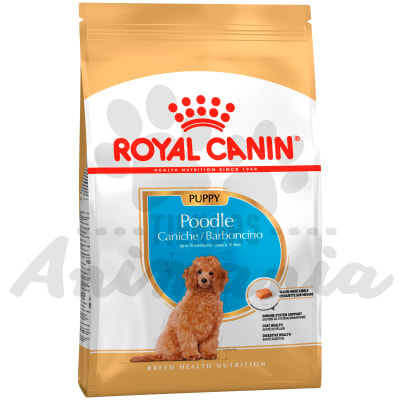 ROYAL CANIN PERRO POODLE PUPPY 3 KG1