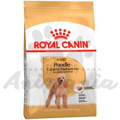 ROYAL CANIN PERRO POODLE ADULTO 1 KG