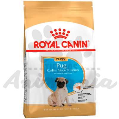 ROYAL CANIN PERRO PUG PUPPY 2.5 KG