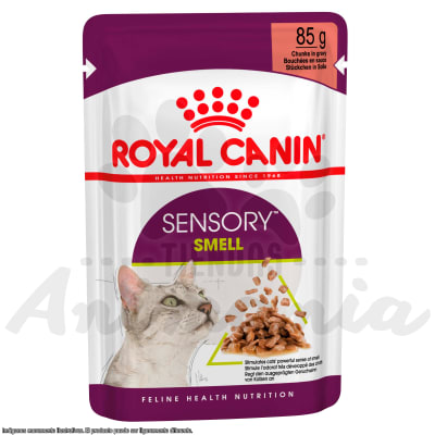 ROYAL CANIN GATO POUCH SENSORY SMELL 85 GR1