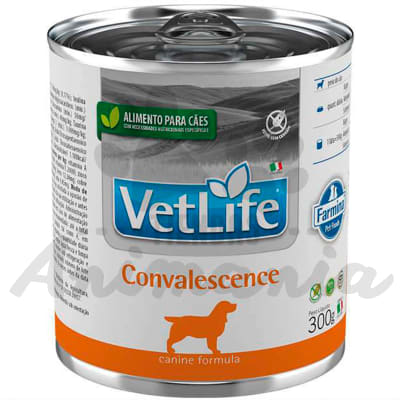 VET LIFE DOG LATA CONVALESCENCE 300 GR