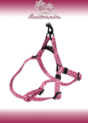 WONDER DOG ARNES + TRAILLA TALLA XS1