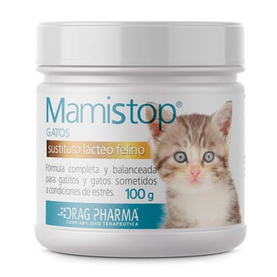 MAMISTOP GATOS | SUSTITUTO LACTEO 100 GR