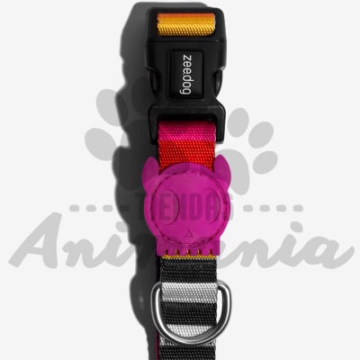 ZEE-DOG COLLAR PARA PERROS PRISMA TALLA L