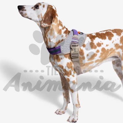 ZEE-DOG ARNES PARA PERROS ACG FLYHARNESS TALLA 5