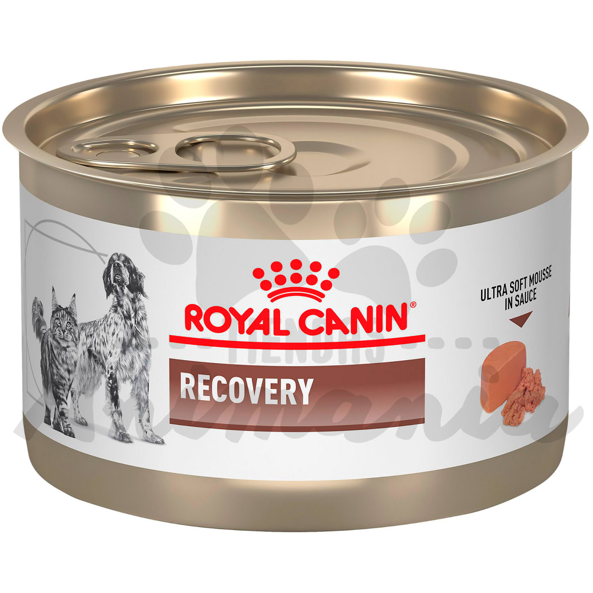 ROYAL CANIN PERROS Y GATOS LATA RECOVERY RS 145 GR | Animania