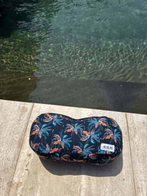 Cojin Palmeras Negras1