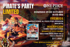 Pirate's Party Limited