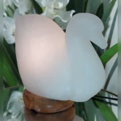 CISNE DE SAL DEL HIMALAYA BLANCO