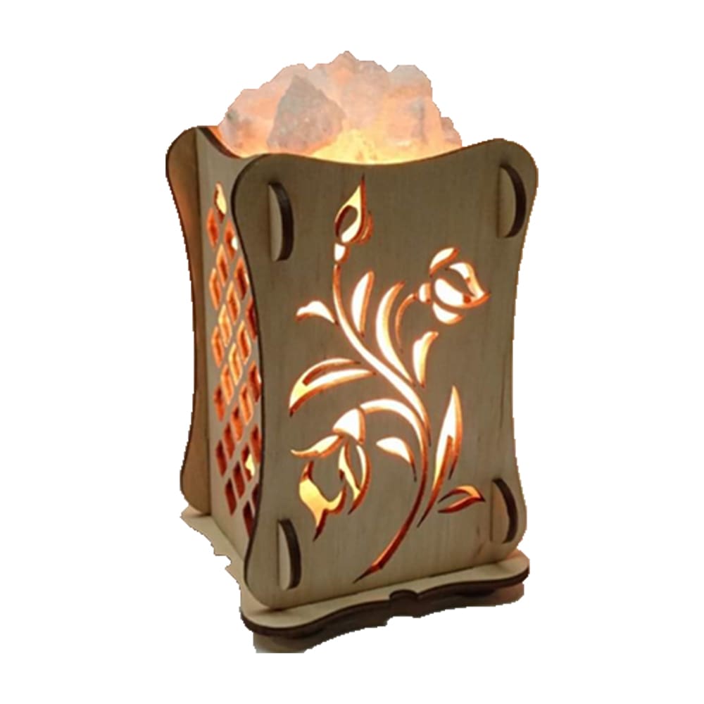 FUENTE DE ENERGIA ROSAS1