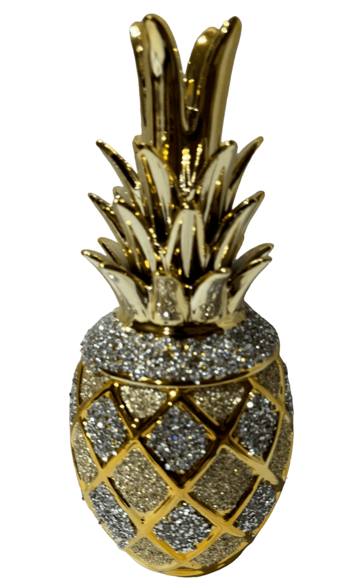 PIÑA GRANDE CON TAPA TROPICAL1