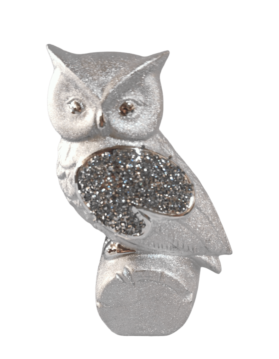 BUHO PLATEADO1
