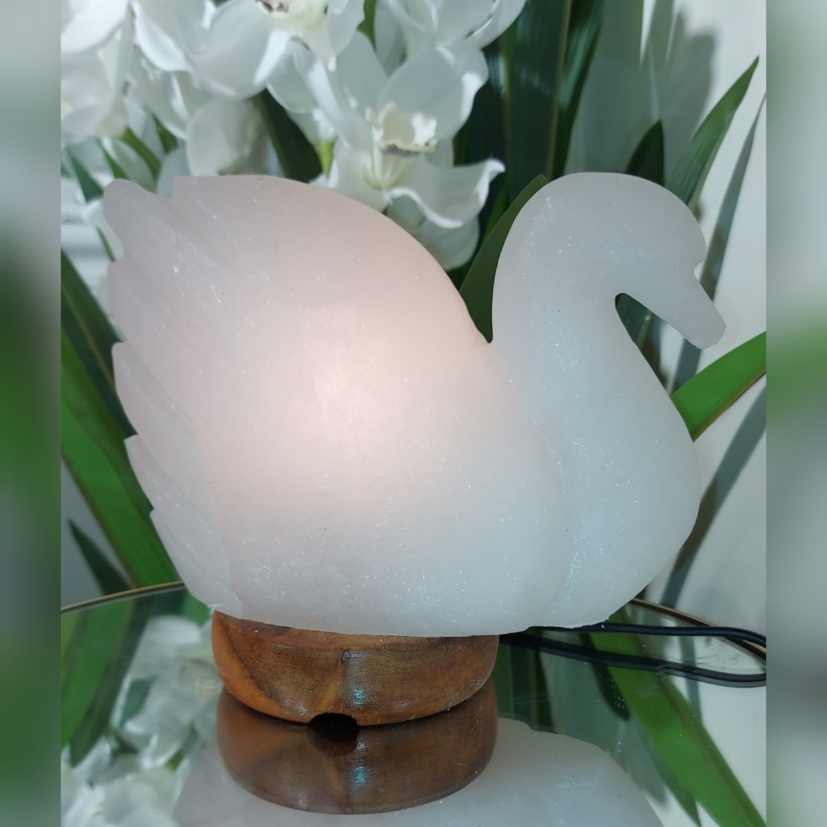 CISNE DE SAL DEL HIMALAYA BLANCO2