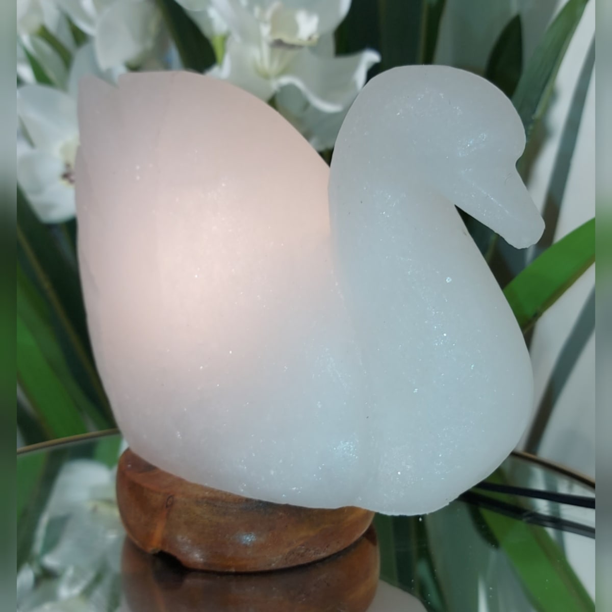 CISNE DE SAL DEL HIMALAYA BLANCO1