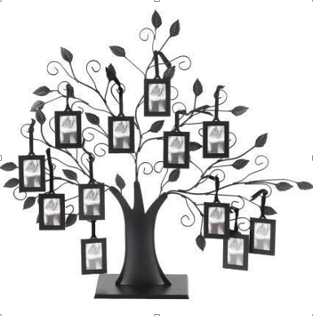 ARBOL GENEOLOGICO 12 FOTOS1