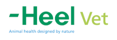 HEEL
