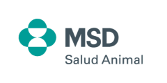 MSD