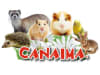 CANAIMA