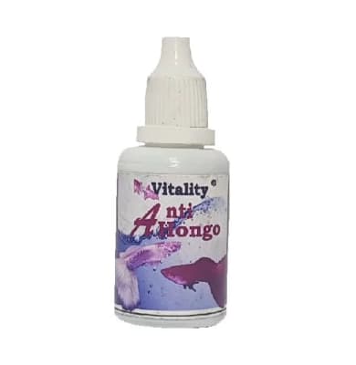 ANTIHONGO 30 CC1