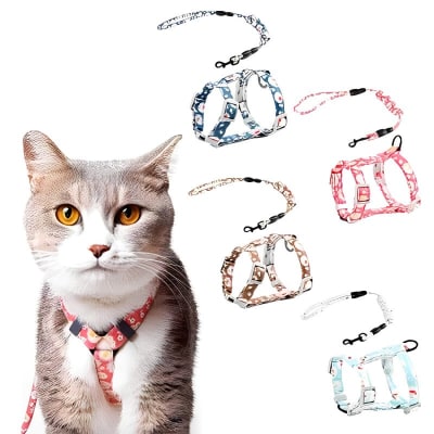 ARNES GATO C/ CORREA TIPO H1