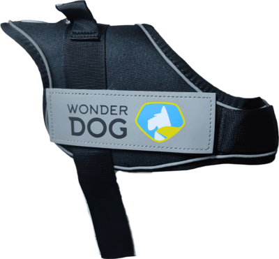 ARNES PERRO OXFORD WONDER DOG2