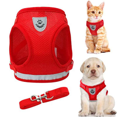 ARNES PECHERA CON REFLECTANTE Y CORREA1