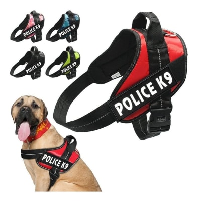 ARNES POLICE K92