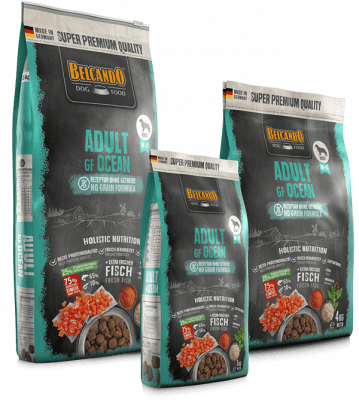 BELCANDO ADULTO GF OCEAN RZA.MEDIANA Y GRANDE1