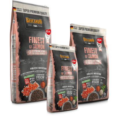 BELCANDO GF FINEST SALMON RAZA PEQUEÑA1