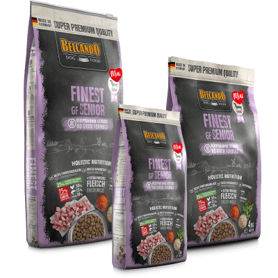 BELCANDO FINEST GF SENIOR RAZA PEQUEÑA1