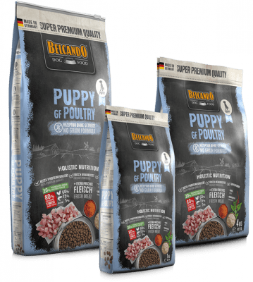 BELCANDO JUNIOR GF POULTRY1