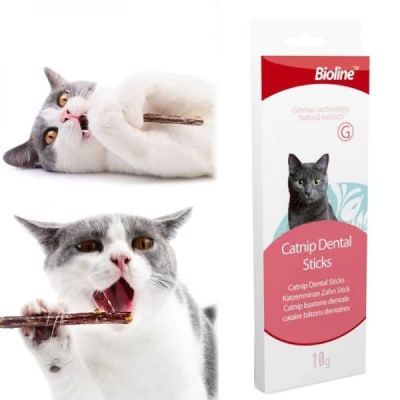 PALITOS CATNIP HIERBA GATERA BIOLINE2
